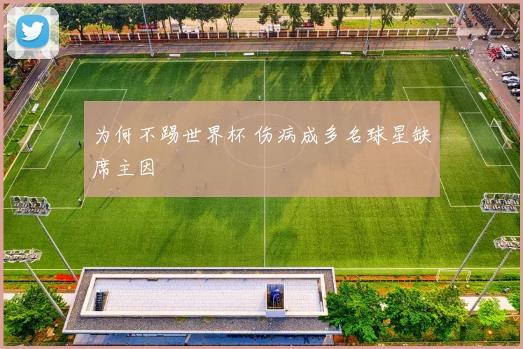 为何不踢世界杯 伤病成多名球星缺席主因